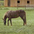 14 gauge Galvanized Cattle Fence for Field