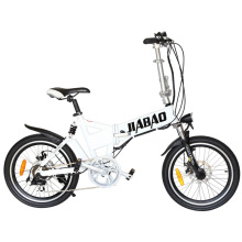 New Released E Bike (TDN06Z)
