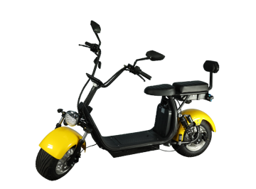 Electric Scooters ZPS21 1500W