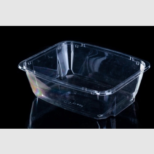 High Quality Plastic Fruit Salad Box