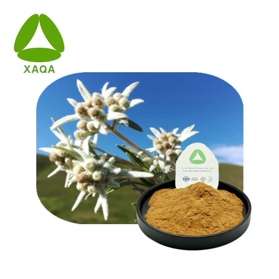Edelweiss Flower Extract Powder 10: 1 Grade cosmétique