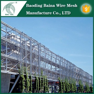 100x100mm mesh opening SS304 plant climb wall mesh China Supplier