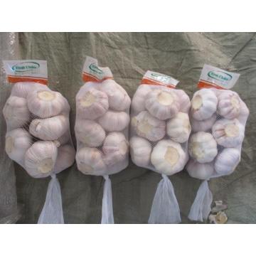 Normal White Garlic New Crop 2020