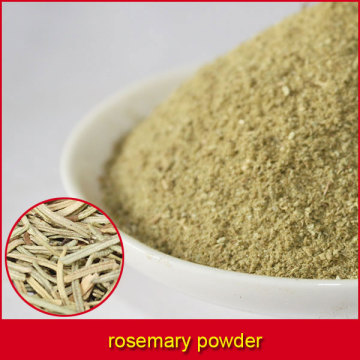 rosemary powder