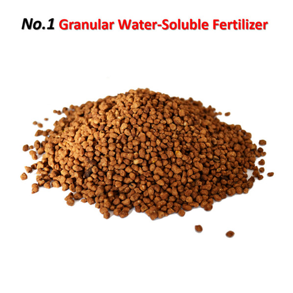 Cocoly Granular Water Soluble Fertilizer Product