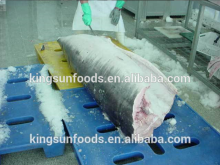 Frozen Swordfish Very fresh Raw