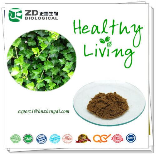 herb extract powder Pharmaceuticals ingredients Hederacoside C extracted from Ivy leaves ivy extract for curing cough