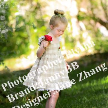 girls check flower embroidered dress