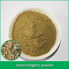 oregano powder