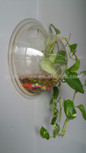 arrange fish bowl on the wall,beautiful flowers on the wall