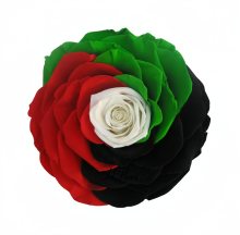 Eternal Flower: 9-10cm Preserved Fresh Rose Heads