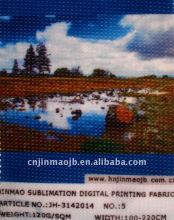 Polyester fabric Sublimation Printing Fabric