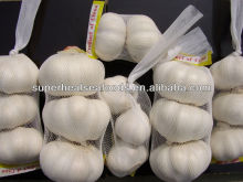 Supply Fresh White Garlic