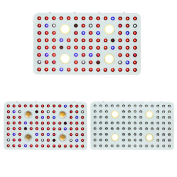 Cob LED cresce luz para plantas internas