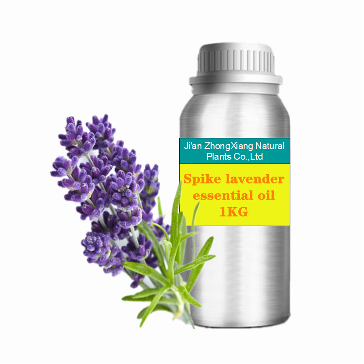 Spike olio di lavanda puro naturale