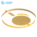 LEDER Led Overhead Ceiling Lights