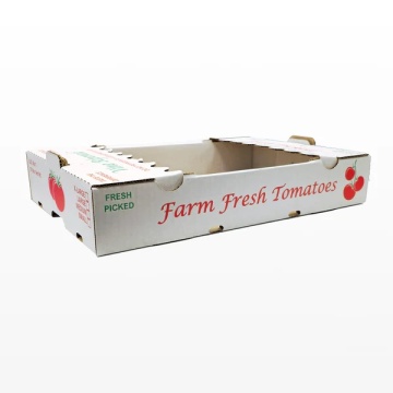 10lb Tomato One-Layer Tray for Fresh Produce