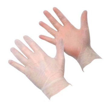 Examination Gloves Vinyl Gloves