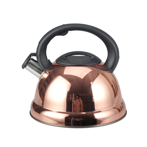 Whistling Tea Kettle mit kühlem Griff