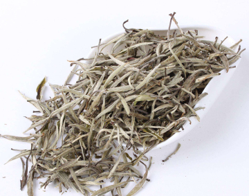 Health Benefits Silver Needle Tea White Tea
