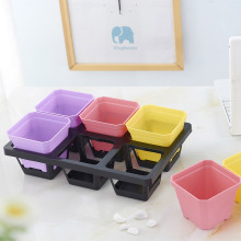 Plastic Flower Pot Carrying Trays -Hold 6 pots