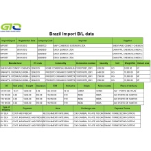 Brasil importació de dades duaneres