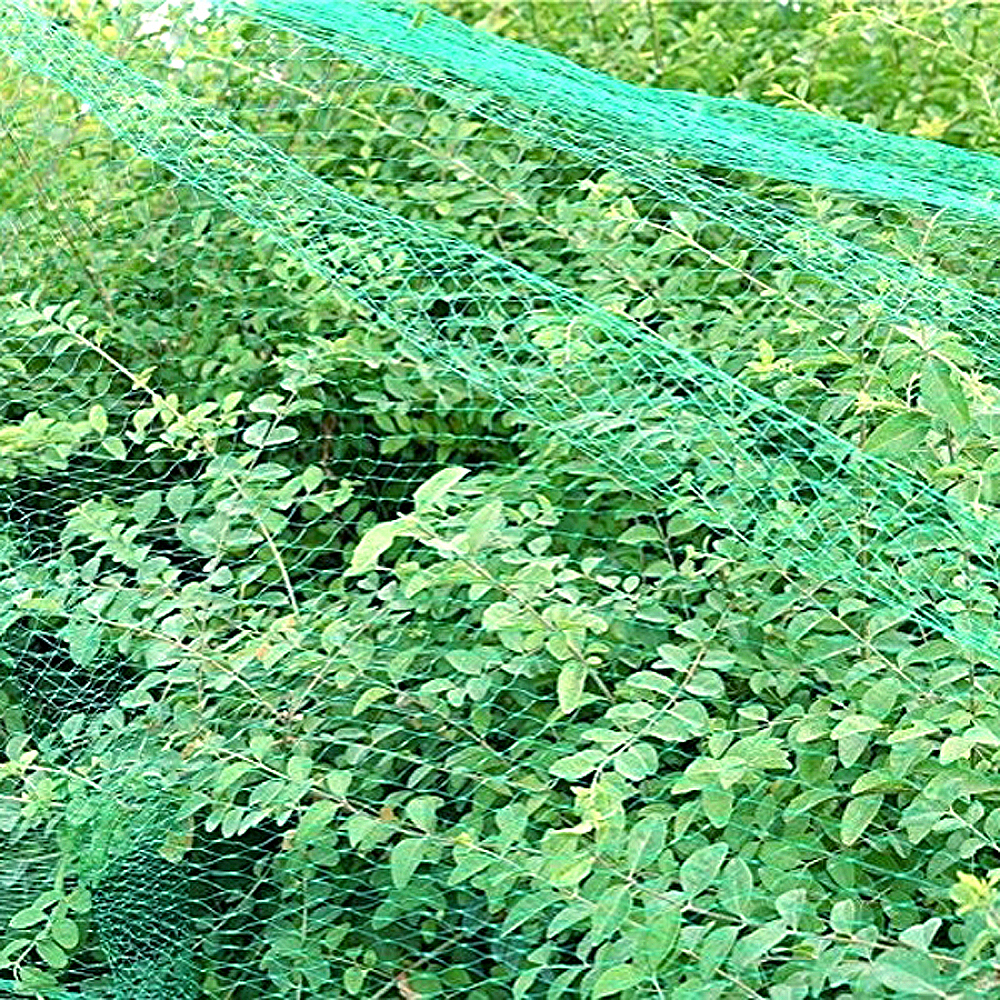 Plastic Agricultural Fruit Bird Netting