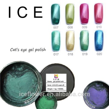 Hot Sale Nail Gel Polish 3D UV Gel cat eye nail vanish