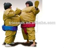 Inflatable Sumo