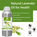 Natural Essential Oil In Cosmetic Cajeput Essential Oil From Tea Tree Oil