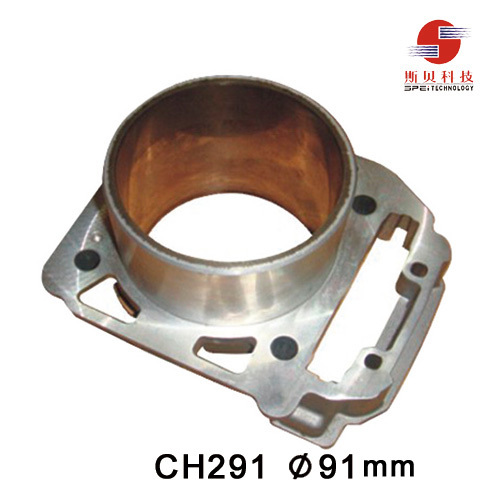 ATV Cylinder CH291