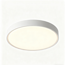 24W Round LED Ceiling Light with Modern Design