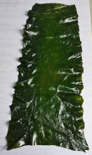 Seaweed Vegetable Salted Kelp Board 2