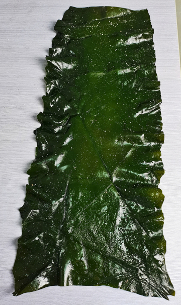 Kelp Vegetable Seaweed First Cut Board