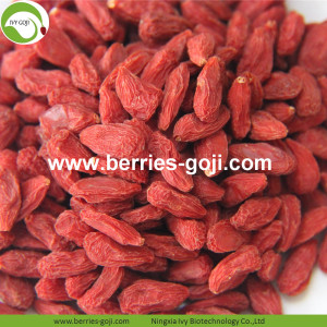 ขายส่งนำเข้าธรรมชาติ Eu Standard Goji Berry