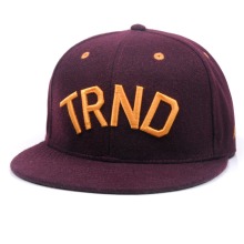 new fashion snapback cap hat/new model snapback cap/new hot snapbacks