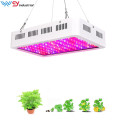 Indoor Grow Light 2000W Plant Growth Lamp