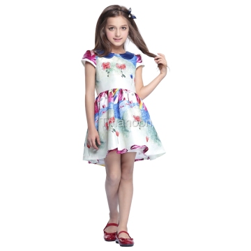 Girl Dress Children Clothing Girl Skirt Children Dress Clothing Msc16203