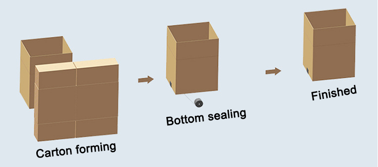 Automatic Cardboard Box And Carton Opening Machine /Erector Machine