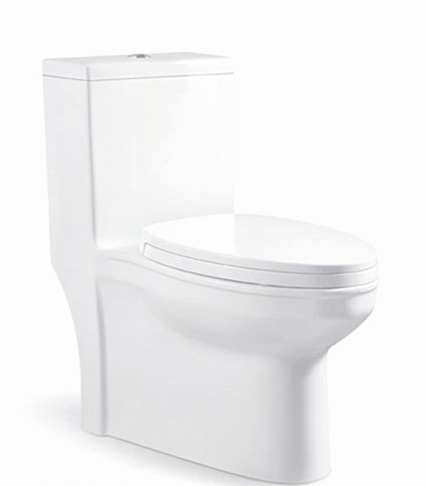 Siphon White One Piece Toilet