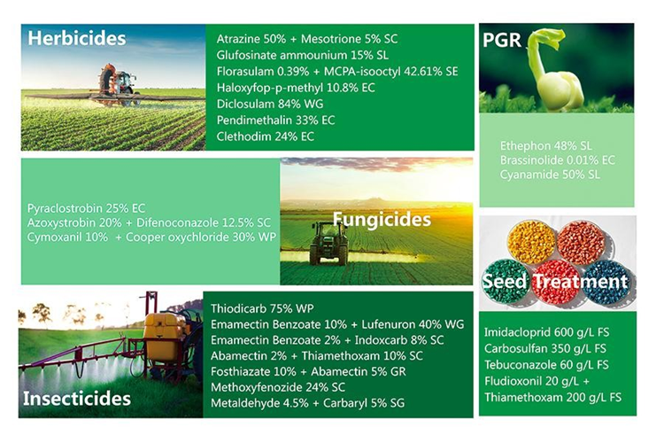 Forchlorfenuron CPPU 99%TC Plant Growth Regulator Wholesale Factory Price KT-30 0.1%SL 0.5%SL 0.1%SP