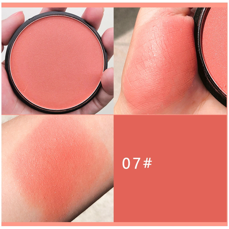Wholesale Cosmetics Powder Blusher Custom Logo Multi Color Blush