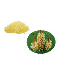 Supply Wild kunming pine pollen powder