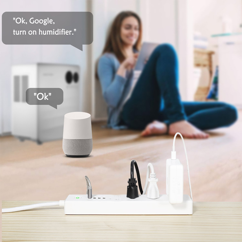 US Outlet Socket Surge Protector Wifi Smart Power Strip With Usb PortsTUYA