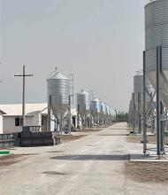 Poultry silo feeding system