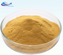 100% Natural Powder Root Ginseng Extract