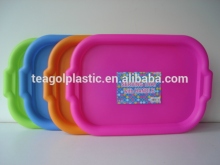 Picnic plate rect. Picnic serving tray 46.5x31cm #TG1007EG