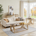 Luxury Gold Glass Coffee Table Set for home