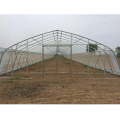 Poly tunnel greenhouse solar hydroponic greenhouse