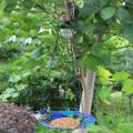 Solar Powered Bird Bath for Outside Hanging